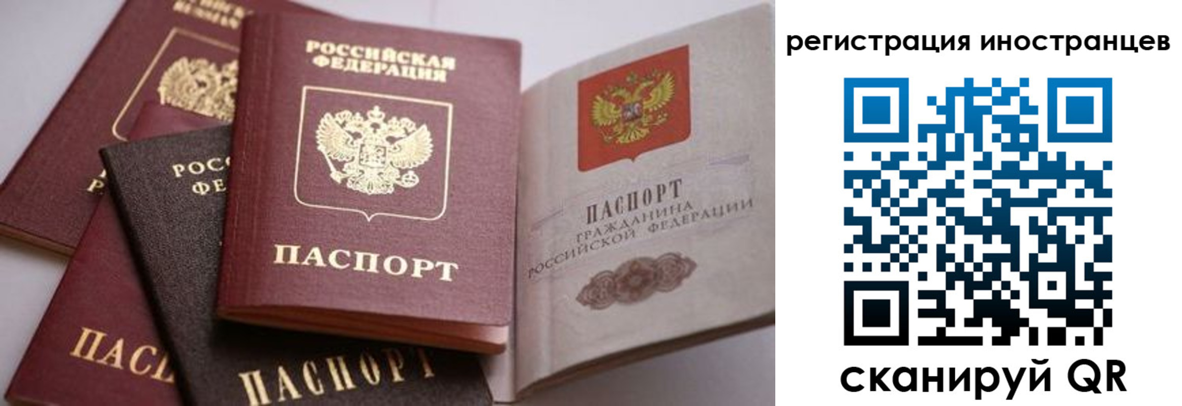 прописка штамп в Покрове